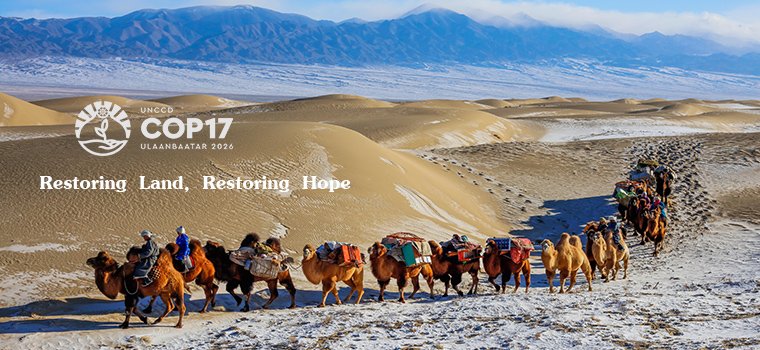 Navigating Mongolia’s Landmark Year