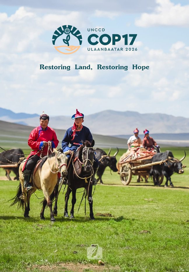 Why You Need a Local DMC in Mongolia