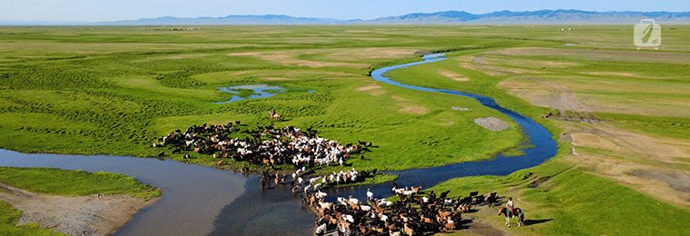 Bridging the Cultural and Language Gap